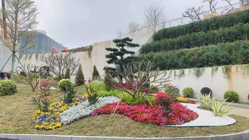 你知道花境建植吗不少镇江市民看了都说赞 范文模稿 你知道花境建植吗不少镇江市民看了都说赞 范文模稿