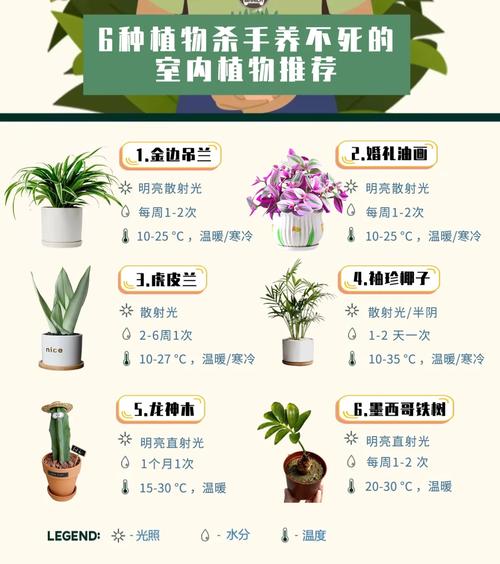 身为手残党首花卉终结者绿植杀手的我推荐三个怎么 范文模稿 身为手残党首花卉终结者绿植杀手的我推荐三个怎么 范文模稿