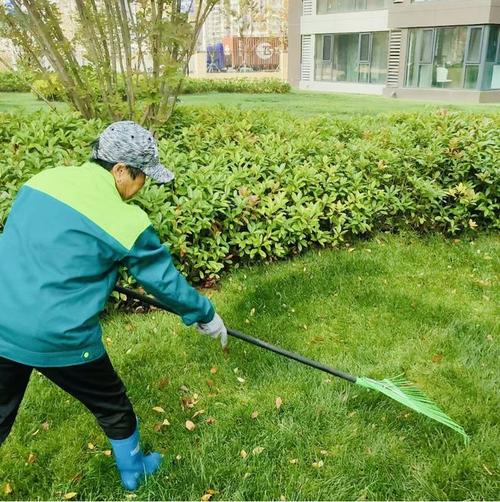 东海万科城市之光三期绿化良好保洁到位 问题得到闭环整改 范文模稿 东海万科城市之光三期绿化良好保洁到位 问题得到闭环整改 范文模稿
