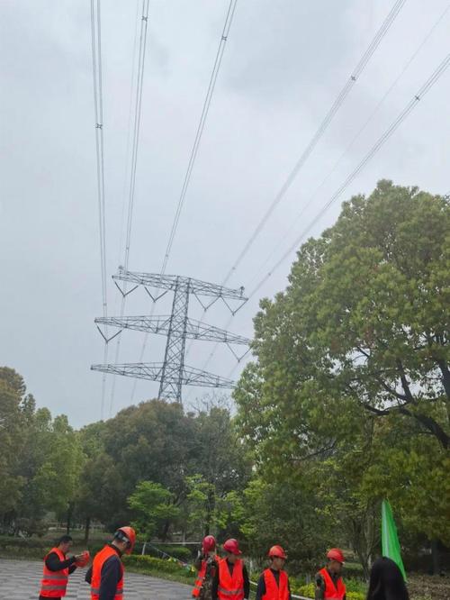 全省首例树线矛盾无锡这么做 范文模稿 全省首例树线矛盾无锡这么做 范文模稿
