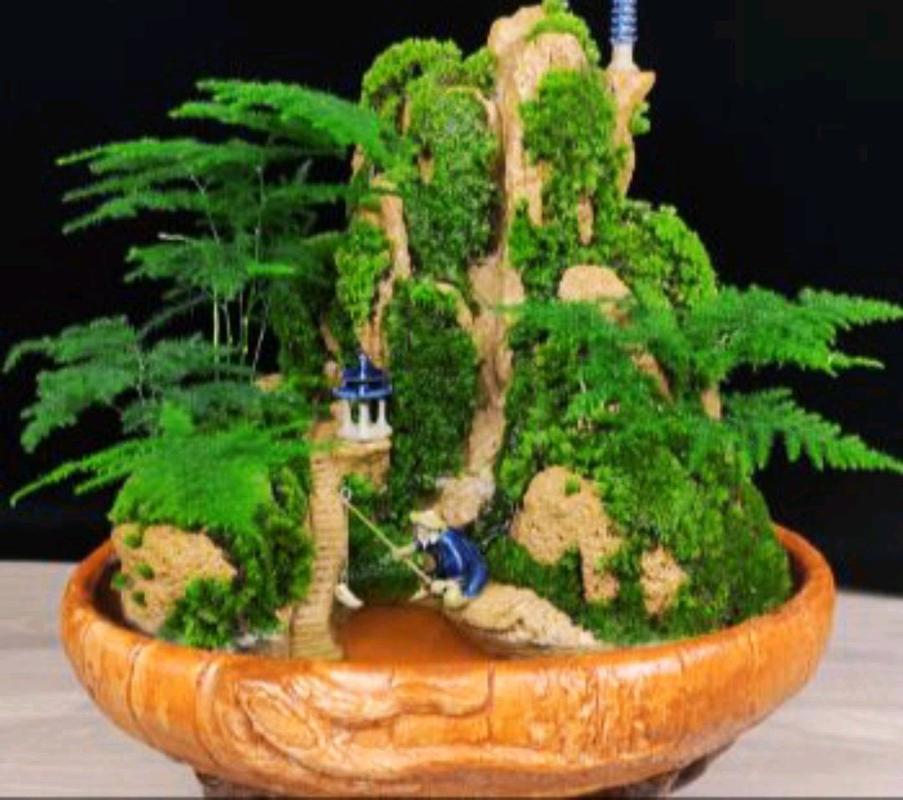 适合种在上水石上的几种绿植好看又好养新手也适合 范文模稿 适合种在上水石上的几种绿植好看又好养新手也适合 范文模稿