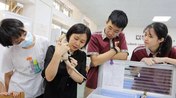 为了让孩子感知自然了解生命 东莞这位生物老师办公室藏着微型爬宠馆 范文模稿 为了让孩子感知自然了解生命 东莞这位生物老师办公室藏着微型爬宠馆 范文模稿