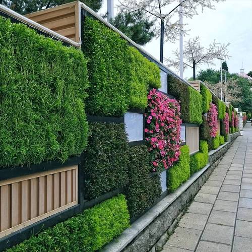 打造个性化家园他们携手美化墙面种植绿植 范文模稿 打造个性化家园他们携手美化墙面种植绿植 范文模稿