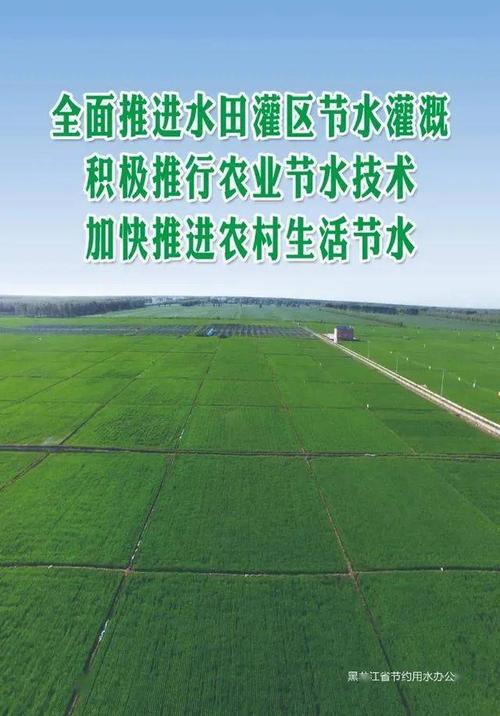 节水灌溉有讲究 因地制宜效果优 范文模稿 节水灌溉有讲究 因地制宜效果优 范文模稿