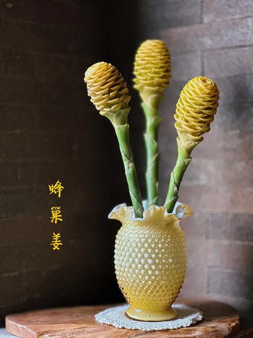 可否用蜂巢来养盆栽花卉可以蜂巢养护盆栽花卉建议配方 范文模稿 可否用蜂巢来养盆栽花卉可以蜂巢养护盆栽花卉建议配方 范文模稿