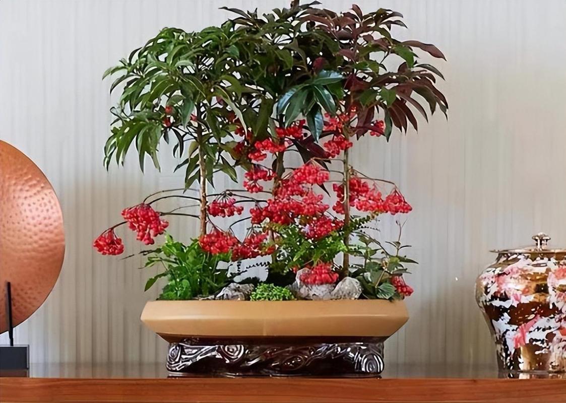 4种值得的种子捡起来种花盆里养成盆景谁见了都夸美 范文模稿 4种值得的种子捡起来种花盆里养成盆景谁见了都夸美 范文模稿