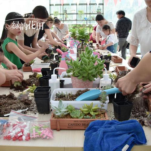 DIY迷你绿洲坑梓街道金沙社区开展亲子多肉盆栽活动 范文模稿 DIY迷你绿洲坑梓街道金沙社区开展亲子多肉盆栽活动 范文模稿