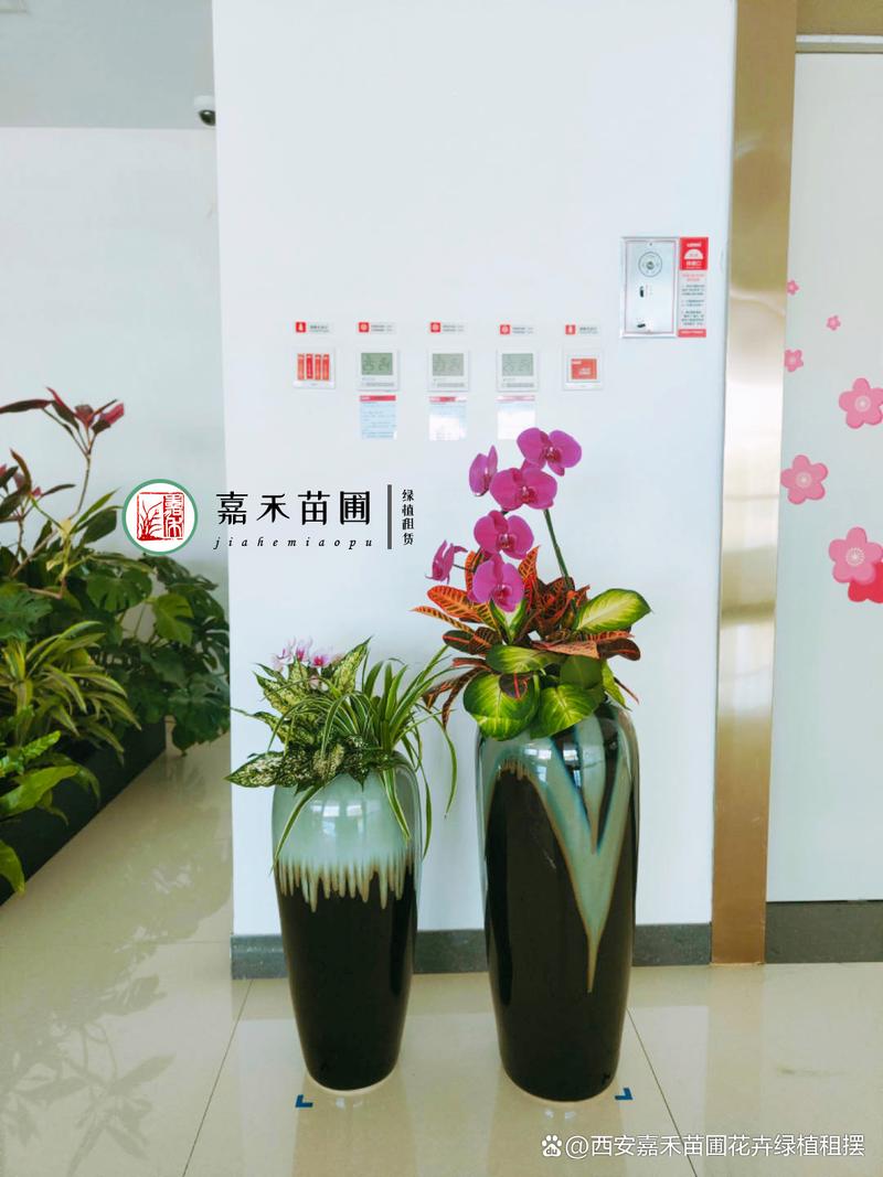 西安花卉租摆绿植租赁项目实施质量保证措施|西安嘉禾苗圃 范文模稿 西安花卉租摆绿植租赁项目实施质量保证措施|西安嘉禾苗圃 范文模稿