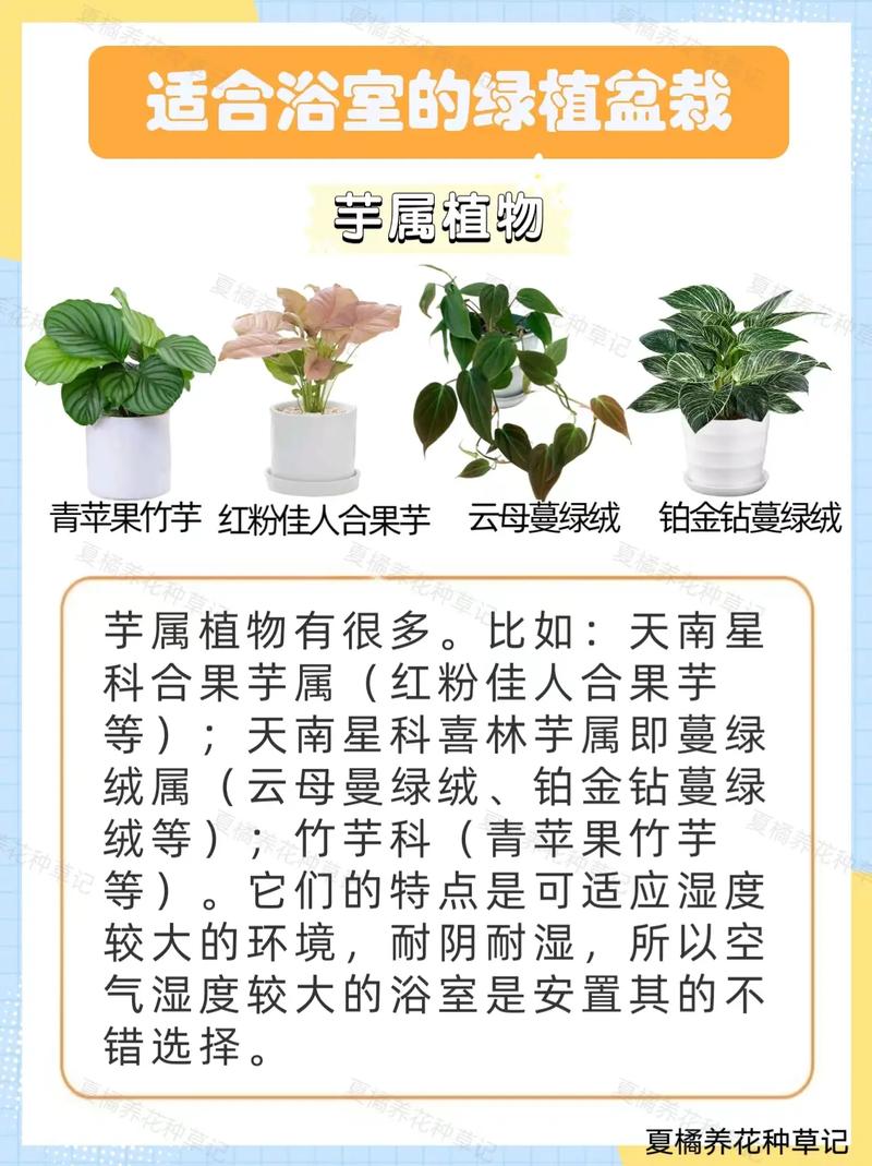 6月家庭盆栽花卉绿植如何养护 范文模稿 6月家庭盆栽花卉绿植如何养护 范文模稿
