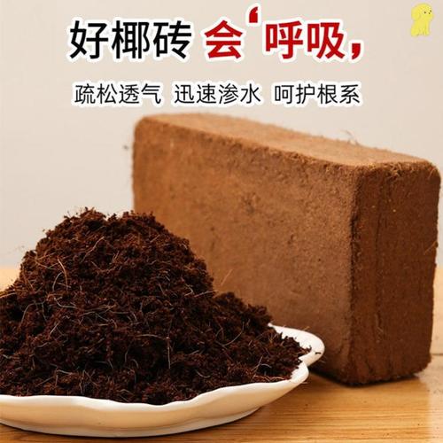 椰砖泡发椰糠种花非常棒但是要学会使用方法否则黄叶僵苗 范文模稿 椰砖泡发椰糠种花非常棒但是要学会使用方法否则黄叶僵苗 范文模稿